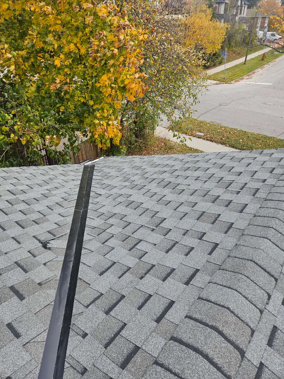 Finished roof shingles