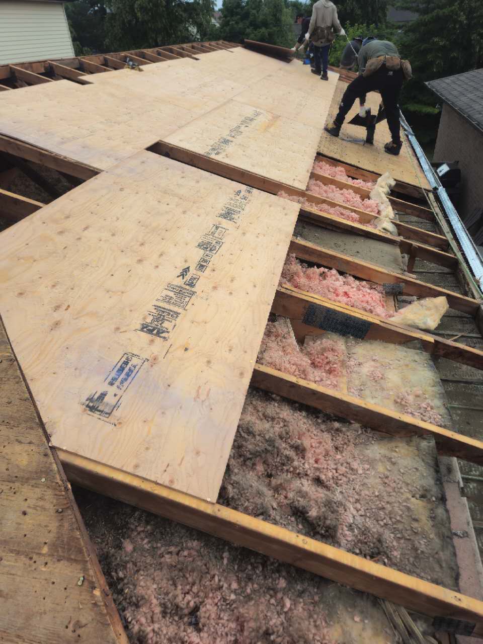 Roof plywood installation